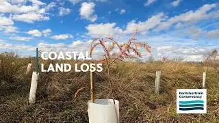 Coastal Land Loss - Interactive Video