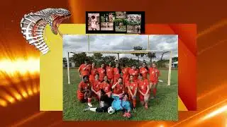 Cobra TV News 120325