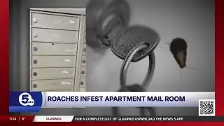 Cockroach infestation at an Akron apartment building leads USPS to suspend mail service