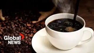 Coffee price inflation is up 31% since 2004. Here’s why