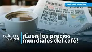 Coffee prices fall | Brazil dominates the global market