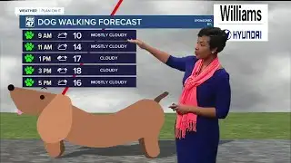 Cold and dry conditions with some sunshine through the weekend