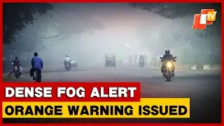 Cold Eases, Dense Fog Grips Odisha
