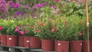 Cold snap puts South Florida outdoor workers at risk