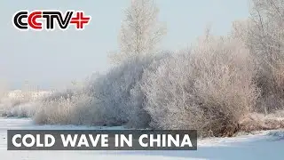 Cold Wave Sends Temperatures Dropping to Minus 46 Degrees Celsius in North China