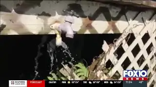 Cold weather causes problems for some MAWSS customers