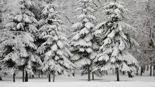 Cold with snow tapering off