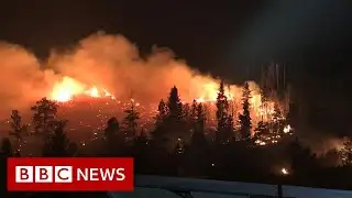 Colorado battles a record-breaking wildfire - BBC News