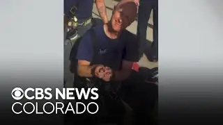 Colorado firefighters rescue, adopt abandoned ducklings