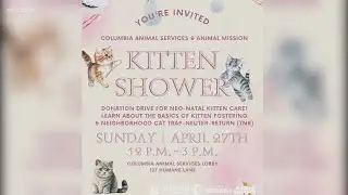 Columbia Animal Services hosts Kitten Shower donation drive this weekend