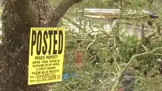 Columbia County woman killed by tree
