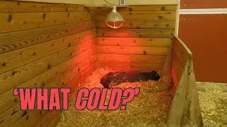 Columbian Park Zoo Isn