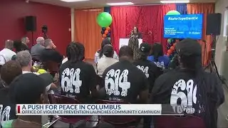 Columbus launches violence de-escalation project