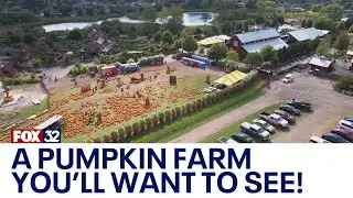 Come along to explore Bengtson