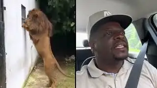 Comedian Shuler King - There