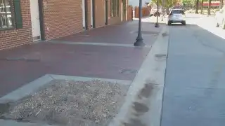 Commissioners question trees cut down in Common