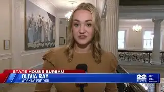 Committee hears testimony on pre-K grants