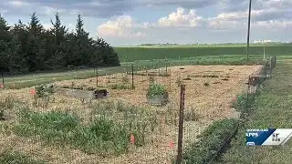 Common Ground: Spring gardening