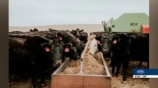 CommonGround Nebraska: Holidays on the farm