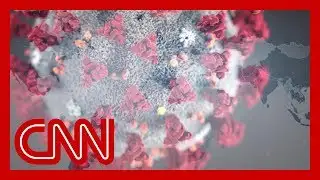 Commonly asked questions about the coronavirus, answered