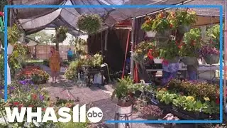 Community rallies donations for Pewee Valley business after fire