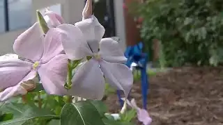 Community remembers victims