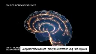 Compass Pathways Eyes FDA Approval for Psilocybin Depression Drug