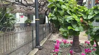 Complainant concludes evidence in Supreme Court trial