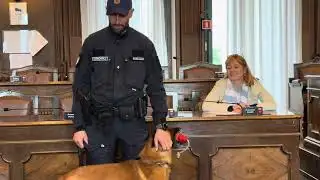 Conan Joins the Force: Trieste Unleashes New K-9 Unit to Tackle Urban Security