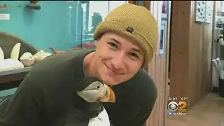 Concern Grows As Search For Missing College Student Continues In OC