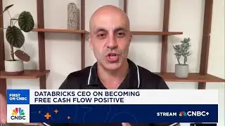 Concerns around corporate data privacy and security holding back AI, says Databricks CEO Ghodsi