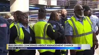 Concerns rise as Via takes over Mobile