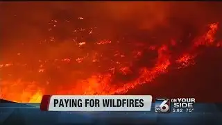 Congress passes controversial fire bill