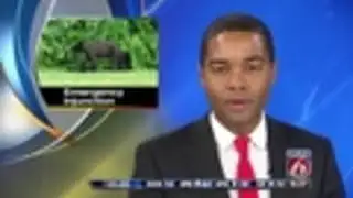 Conservation group seeks to halt bear hunt in Florida