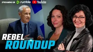 Conservative MP rips Doug Ford, Carney