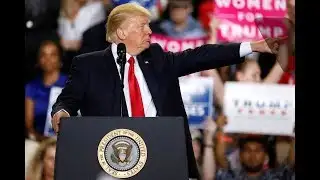 Conservative ‘Never Trumpers’ are split over Trump’s first year