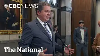 Conservatives say Carney using ‘undemocratic’ means to gain majority