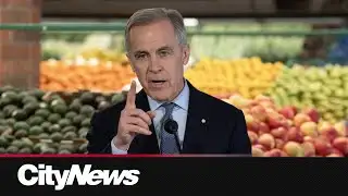 Conservatives to support Carney