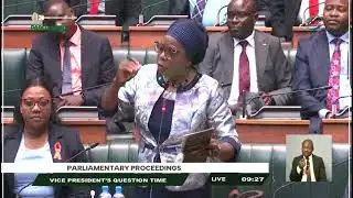 Constitution Bill Deferred, Not Withdrawn – VEEP