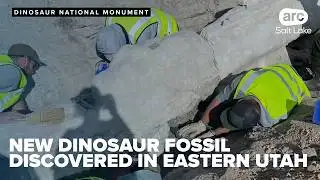 Construction was halted when dinosaur fossils were discovered