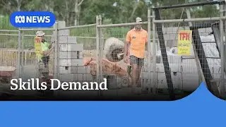 Construction workforce issues contributing to national housing target shortfall | ABC NEWS