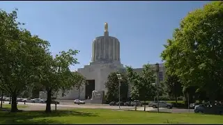 Contentious Senate bill could ban concealed carry firearms in public buildings