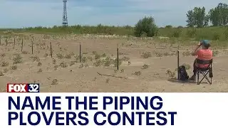 Contest launched for Chicago