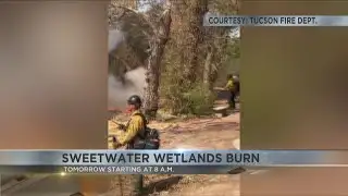 Controlled burn at Sweetwater Wetlands helps Tucson firefighters