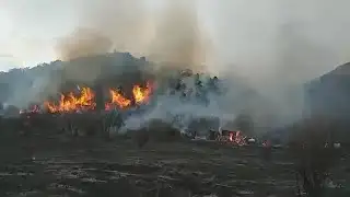 Controlled Burn Gets Out Of Control, Destroys Vehicles