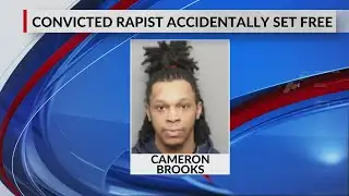 Convicted rapist mistakenly released after IT error: SCSO