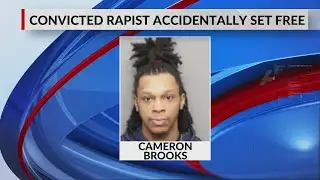 Convicted rapist mistakenly released after IT error: SCSO