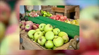 Cooking With Lynn - Fall apple variety