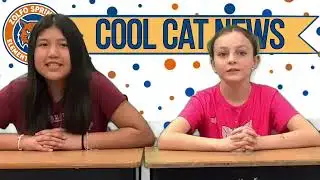 Cool Cat News: 1/22/26