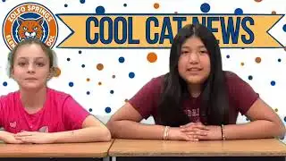 Cool Cat News: 1/23/26